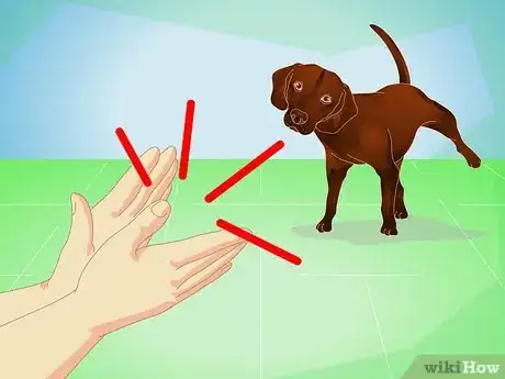 Image titled Housebreak an Adult Dog Step 9
