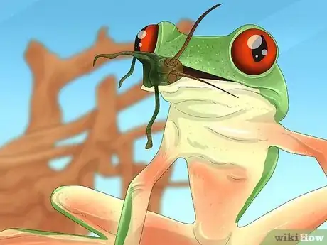 Image titled Set up a Red Eyed Tree Frog Enclosure Step 8