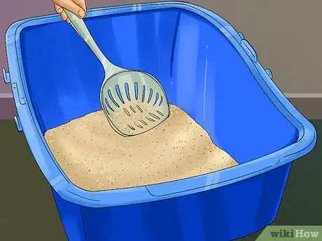 Image titled Choose a Litter Box for Your Cat Step 3