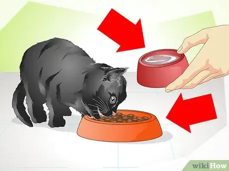 Image titled Help a New Kitten Become Familiar with Your Home Step 4