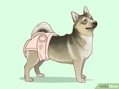 Image titled Keep Your House Clean when Your Dog Is in Heat Step 1