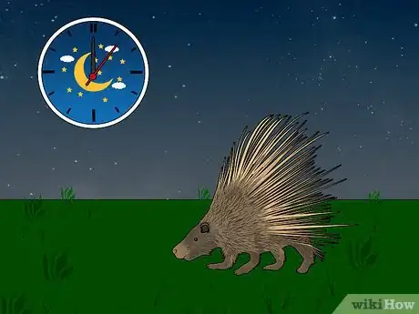 Image titled Remove Porcupine Quills Step 29