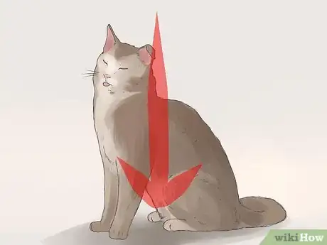 Image titled Tell if Your Cat Has FIV Step 3