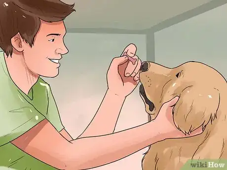 Image titled Give Your Dog Eye Drops Step 12