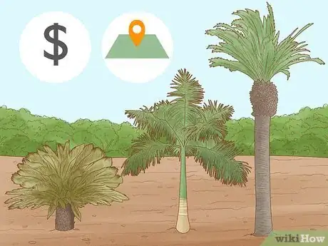 Image titled Plant a Palm Tree Step 2