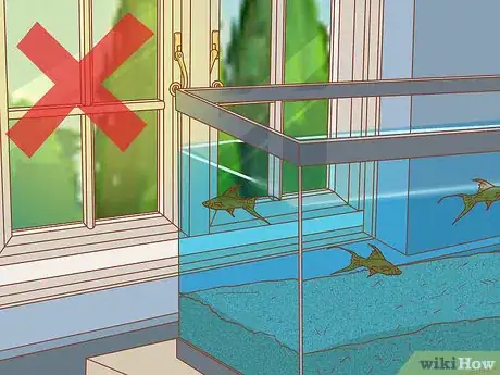 Image titled Decrease Aquarium Algae Naturally Step 5