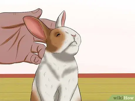 Image titled Teach Your Rabbit to Jump over Something Step 17