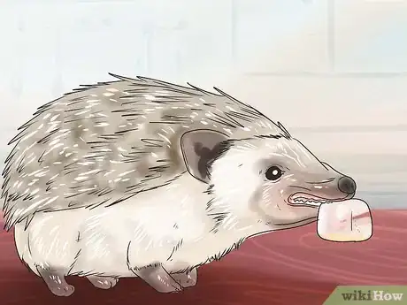 Image titled React when Your Hedgehog Bites You Step 9