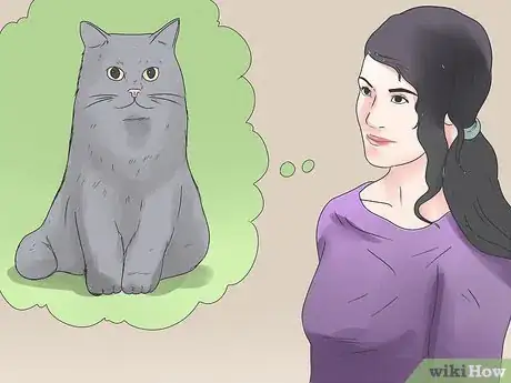 Image titled Tell if Your Cat Has FIV Step 1