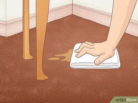 Image titled Remove Permanent Hair Dye from Carpets Step 1