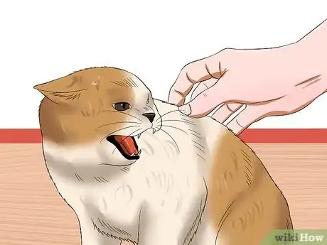 Image titled Tell if a Cat Has Rabies Step 4