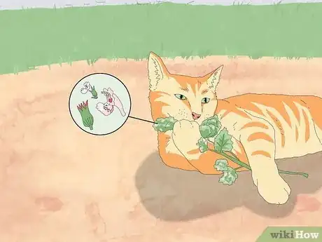 Image titled Why Do Cats Roll in Dirt Step 8