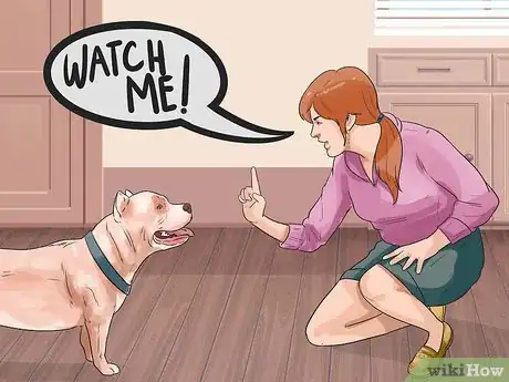 Image titled Teach Your Dog to Focus Step 17