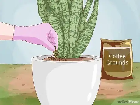 Image titled Remove Ants from Potted Plants Step 12