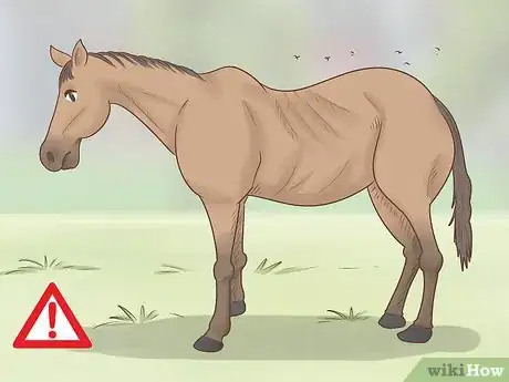 Image titled Tell if a Horse Is Happy Step 15