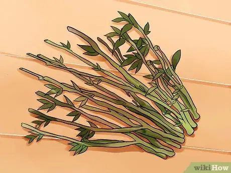 Image titled Propagate Rose of Sharon Cuttings Step 2