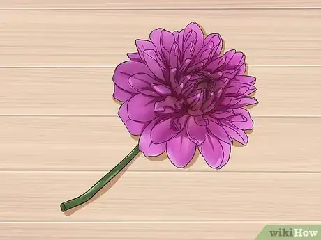 Image titled Care for Dahlias Step 13