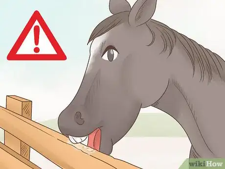 Image titled Tell if a Horse Is Happy Step 11