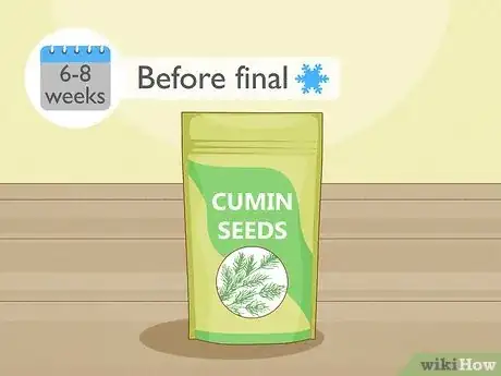 Image titled Grow Cumin Step 1