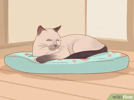Image titled Keep a Cat from Waking You Up Step 10