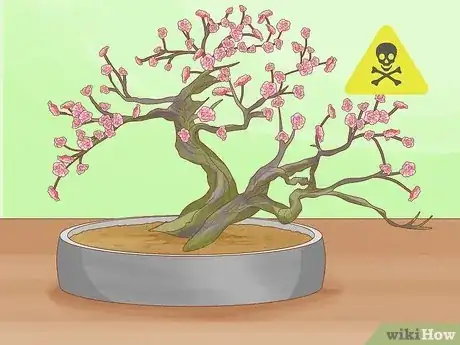 Image titled Are Bonsai Trees Poisonous to Cats Step 7