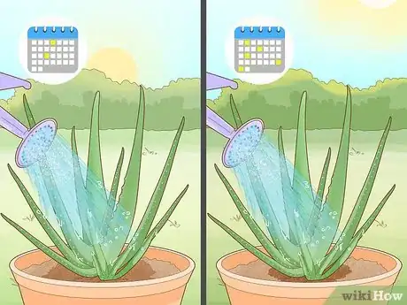 Image titled Prevent Aloe Vera Leaves from Turning Brown Step 5