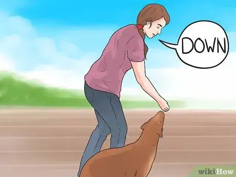 Image titled Teach a Dog to Crawl Step 6