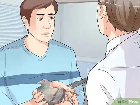 Image titled Hold a Pigeon Step 13