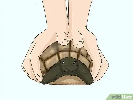 Image titled Handle a Tortoise Step 2