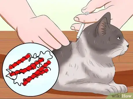 Image titled Care for an FIV Infected Cat Step 9