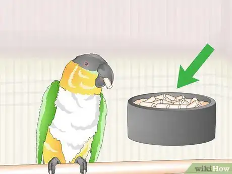 Image titled Feed a Caique Parrot Step 1