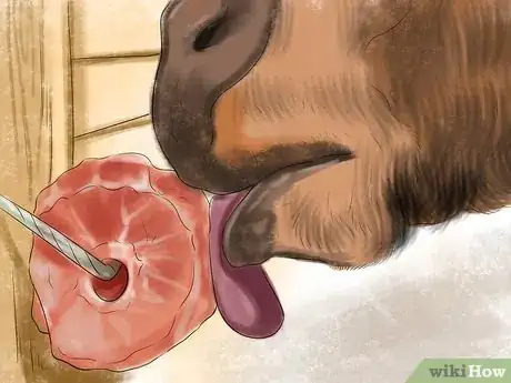 Image titled Make a Salt Lick for Horses Step 5