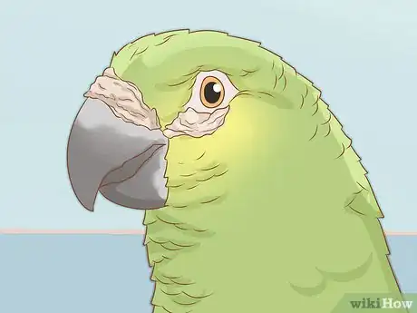 Image titled Tell if Your Bird Has Mites Step 1