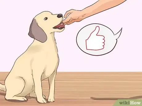 Image titled Discourage a Dog From Biting Step 11