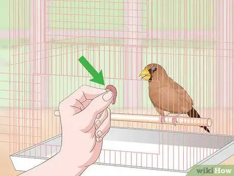 Image titled Bond with Pet Finches Step 13