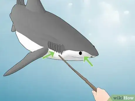 Image titled Survive a Shark Attack Step 4