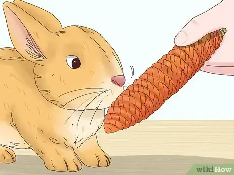 Image titled Play Tug of War with Your Rabbit Step 5