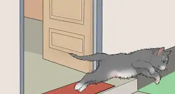 Keep a Cat Calm During a Move