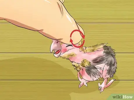 Image titled Massage a Cockatiel Step 13