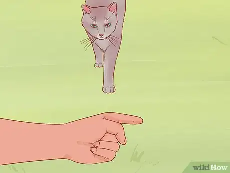Image titled Greet a Cat Step 7