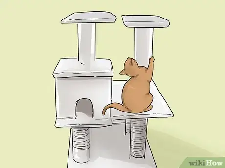 Image titled Change Your Cat's Routine Step 9