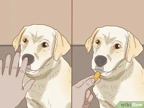 Image titled Teach Your Dog to Close the Door Step 2