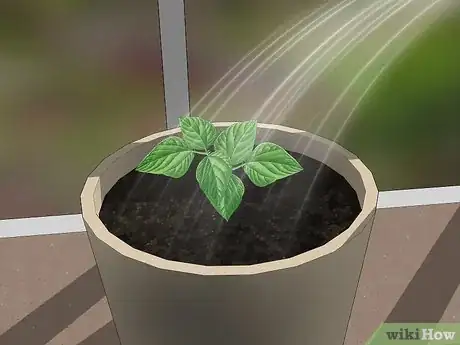 Image titled Grow Green Beans Step 15