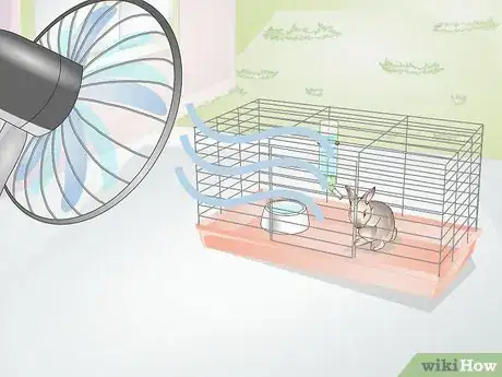 Image titled Diagnose Heat Stroke in Rabbits Step 13
