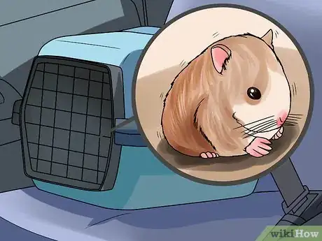 Image titled Safely Transport Your Guinea Pigs in the Car Step 11