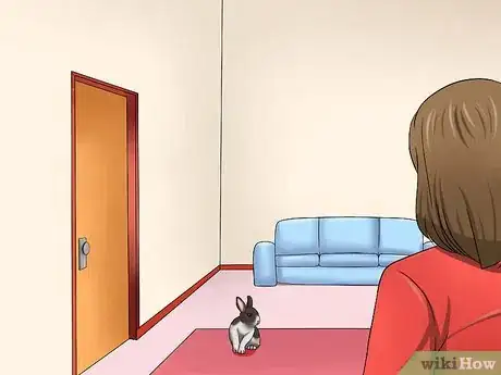 Image titled Teach Your Rabbit to Jump over Something Step 7