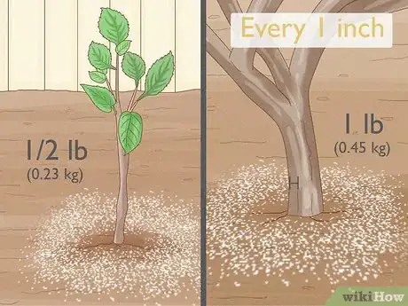 Image titled Fertilize an Apple Tree Step 7