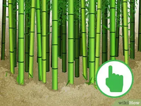 Image titled Cut Bamboo Step 1