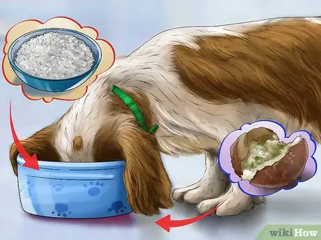 Image titled Give Your Dog Healthy Attention Step 14