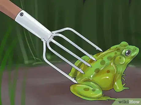 Image titled Catch a Bullfrog Step 11